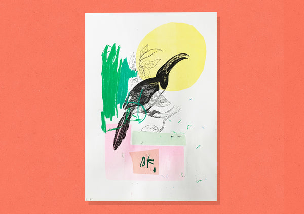 Toucan Collaborations